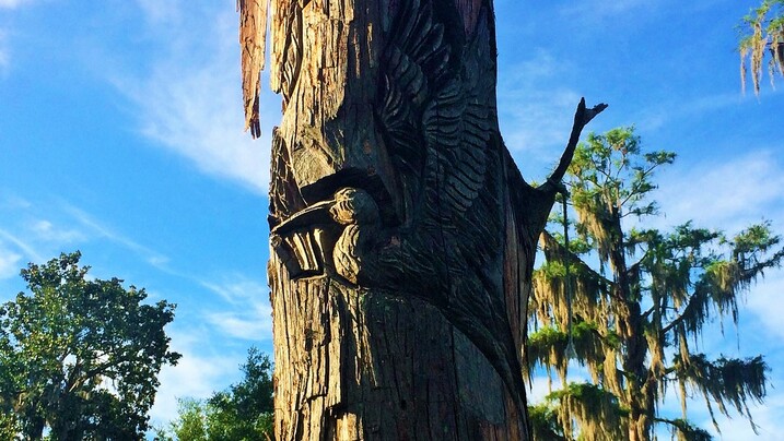 Cypress Sculpture in Windermere Town