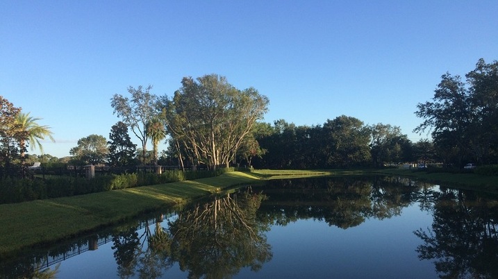 Windermere Estancia-Oak Trees Draped Over Small Town Charm