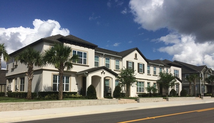 Residential neighborhood in Windermere, FL with diverse housing styles and sizes