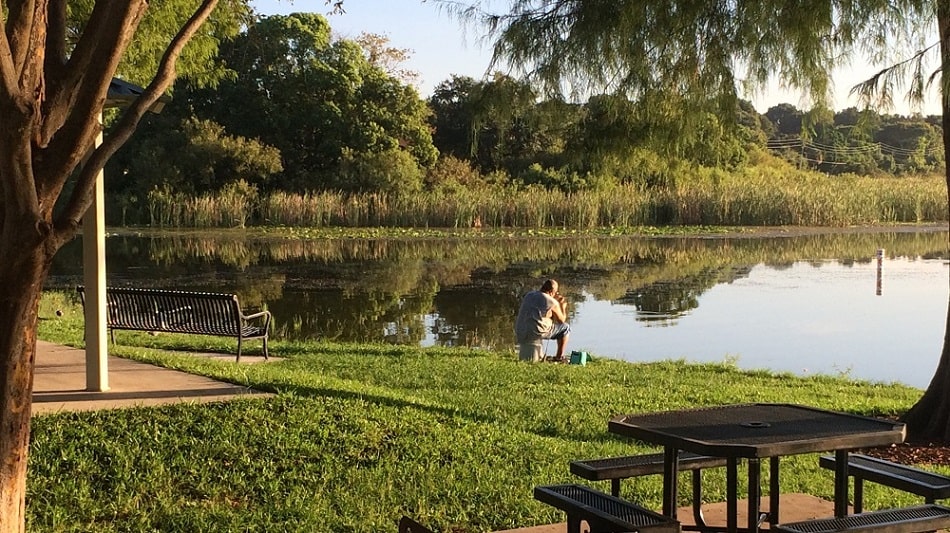 Families enjoying outdoor activities in a park in Ocoee, Florida