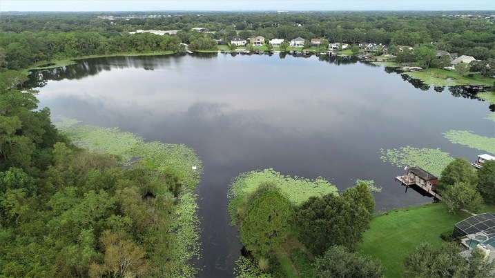 Little Lake Down And Canal