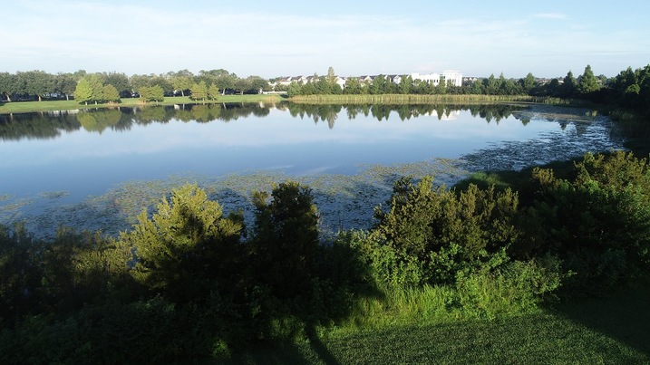 Lake Smith in Windermere FL