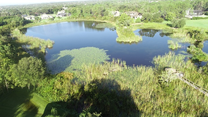 Lake Clarice in Windermere FL