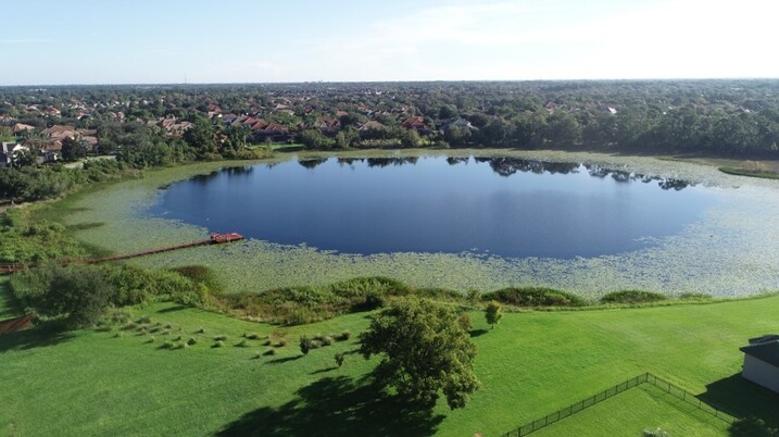 Beautiful Lake Rhea in Windermere FL