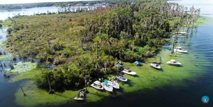 Bird Island in Lake Butler